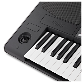 KORG PA600 keyboard